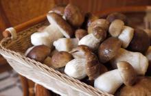 Як заморозити на зиму білі гриби: сирими, вареними, смаженими