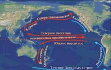 Sakit okeanda beynəlxalq dəniz marşrutlarının əsas istiqamətləri Sakit Okeanın dəniz marşrutları