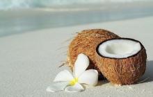 Kokosnuss: Nutzen und Schaden