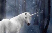 Interpretación de los sueños de unicornio blanco. Soñé con un bolso rosa con un unicornio.